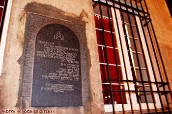 IMG_ (10627)